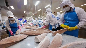 Khuyến khích, hỗ trợ doanh nghiệp đầu tư chế biến sâu để đẩy mạnh xuất khẩu