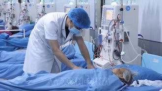 BHXH Việt Nam chỉ đạo bảo đảm quyền lợi BHYT cho người dân vùng bão lũ