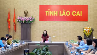 Rà soát công tác chuẩn bị Festival sông Hồng và các hoạt động phụ trợ