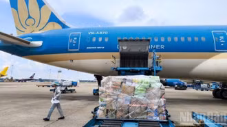 Vietnam Airlines vận chuyển miễn phí hàng hóa hỗ trợ vùng mưa lũ miền trung