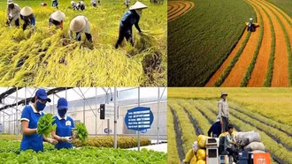 Ra mắt sổ tay hướng dẫn nhiệm vụ của chính quyền cấp xã lĩnh vực nông nghiệp và môi trường