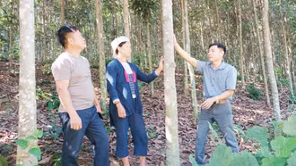 Bảo Hà nhân rộng sinh kế, tạo đòn bẩy giảm nghèo