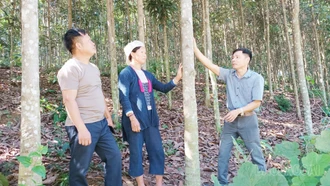 Bảo Hà nhân rộng sinh kế, tạo đòn bẩy giảm nghèo