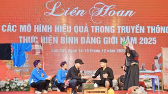 Ấn tượng Liên hoan Các mô hình hiệu quả trong truyền thông thực hiện bình đẳng giới năm 2025