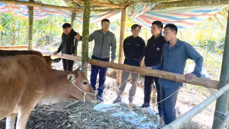 Đích đến là giảm nghèo bền vững