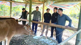 Đích đến là giảm nghèo bền vững