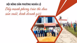Hội Nông dân phường Nghĩa Lộ: Đẩy mạnh phong trào thi đua sản xuất, kinh doanh giỏi