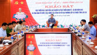 Hội đồng Nhân dân tỉnh khảo sát việc triển khai nhiệm vụ phát triển kinh tế - xã hội tại xã Mậu A