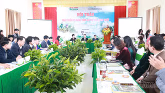 Hội thảo phát triển và nâng cao giá trị trà Shan Tuyết