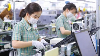 Hơn 174.000 doanh nghiệp gia nhập thị trường trong 7 tháng năm 2025