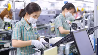 Hơn 174.000 doanh nghiệp gia nhập thị trường trong 7 tháng năm 2025