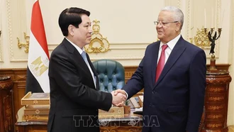 Chủ tịch nước Lương Cường hội kiến Chủ tịch Hạ viện Ai Cập