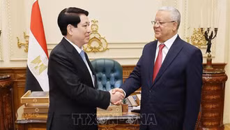 Chủ tịch nước Lương Cường hội kiến Chủ tịch Hạ viện Ai Cập