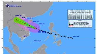 Cường độ bão số 10 mạnh cấp 12, giật cấp 15, chỉ còn cách Đà Nẵng 460km