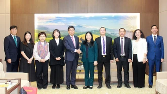 Phó Chủ tịch UBND tỉnh Vũ Thị Hiền Hạnh tiếp xã giao Đoàn công tác của Bệnh viện Veterans Busan, Hàn Quốc