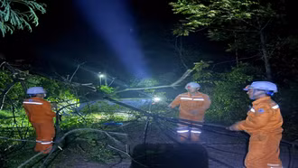 Đội quản lý điện khu vực Văn Bàn khắc phục sự cố sau dông, lốc