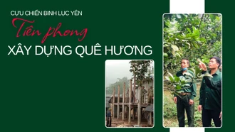 Cựu Chiến binh Lục Yên: Tiên phong xây dựng quê hương