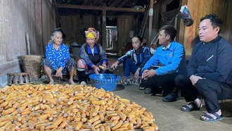 Ngọn cờ đầu trên đỉnh Làng Linh