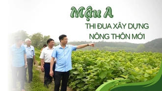 Mậu A thi đua xây dựng nông thôn mới