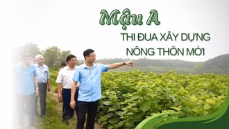 Mậu A thi đua xây dựng nông thôn mới