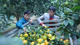 Xã Phúc Khánh: Thách thức trong xây dựng nông thôn mới sau sáp nhập