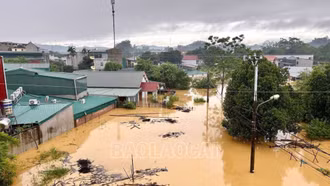 Khẩn trương triển khai các nhiệm vụ phòng, tránh, ứng phó, khắc phục hậu quả thiên tai