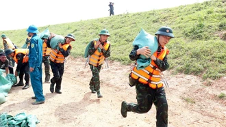 Thành lập Cổng Thông tin điện tử Ban Chỉ đạo Phòng thủ dân sự quốc gia