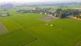 Hoàn thiện cơ sở dữ liệu đất đai vào năm 2026, chấm dứt thời kỳ quản lý trên giấy