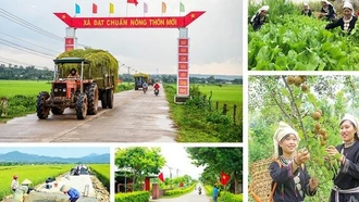 Bộ tiêu chí quốc gia về nông thôn mới giai đoạn 2026 - 2030