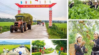 Bộ tiêu chí quốc gia về nông thôn mới giai đoạn 2026 - 2030