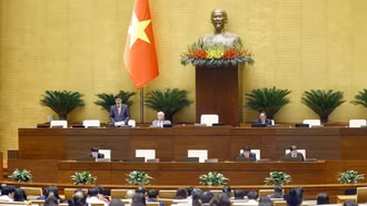 Ngày 9/12, Quốc hội thảo luận các báo cáo công tác thuộc lĩnh vực tư pháp và pháp luật