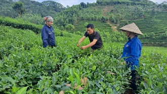 Kết quả tích cực từ các chính sách khuyến khích phát triển nông nghiệp 