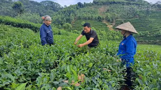 Kết quả tích cực từ các chính sách khuyến khích phát triển nông nghiệp 