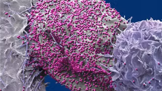 Người đàn ông được chữa khỏi HIV sau khi ghép tế bào gốc