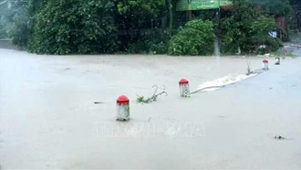 Huy động 26 trạm bơm tiêu úng khẩn cấp tại Bắc Bộ và Bắc Trung Bộ