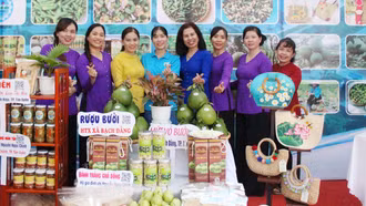 Hỗ trợ phụ nữ khởi nghiệp