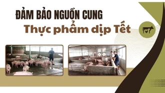 Đảm bảo nguồn cung thực phẩm dịp Tết