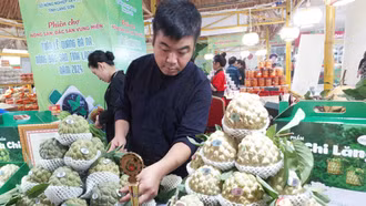 Sắp diễn ra Tuần lễ Nông sản Việt 2025 và ra mắt Bản đồ Nông sản số