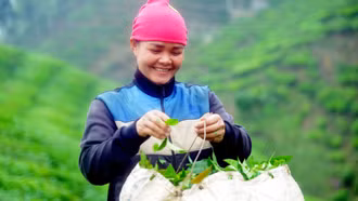 Sơn La giảm nghèo hiệu quả từ mô hình HTX kiểu mới