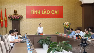 Lào Cai phấn đấu trong nhóm đứng đầu cả nước về thực hiện Chiến dịch làm giàu, làm sạch cơ sở dữ liệu đất đai