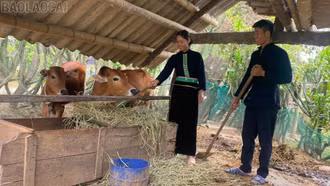 Phụ nữ Dương Quỳ phát huy quyền năng kinh tế