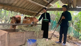 Phụ nữ Dương Quỳ phát huy quyền năng kinh tế