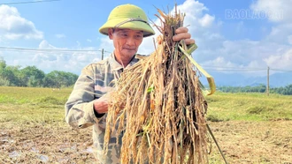 Tằng Loỏng nỗ lực khôi phục vụ mùa sau mưa lũ