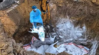 Nhiều tỉnh phía Bắc bùng phát dịch tả lợn châu Phi