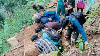 Vực dậy sau tàn khốc