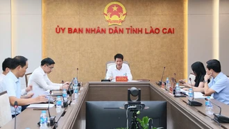 Kiến nghị về cơ chế thực hiện Dự án thành phần 4