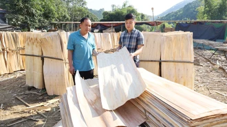 Bảo Hà nâng cao thu nhập cho người dân từ sản xuất ván bóc