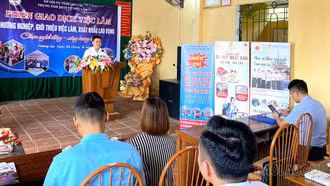 Lào Cai: Gần 3.600 người được giải quyết bảo hiểm thất nghiệp