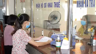 Không yêu cầu nộp căn cước, giấy phép kinh doanh khi cập nhật thông tin theo mô hình chính quyền 2 cấp