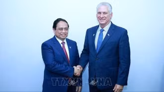 Thủ tướng Phạm Minh Chính hội kiến Chủ tịch Cuba Miguel Diaz Canel